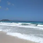La Flor Del Atlantico Corralejo