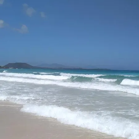 La Flor Del Atlantico كوراليهو