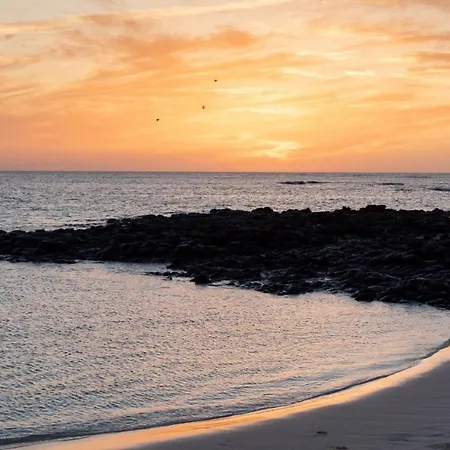 La Flor Del Atlantico * Κοραλέχο