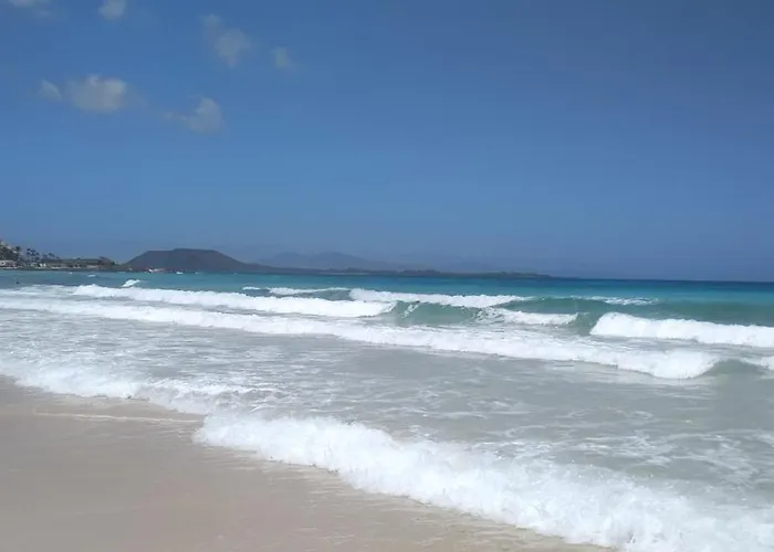 La Flor Del Atlantico Corralejo