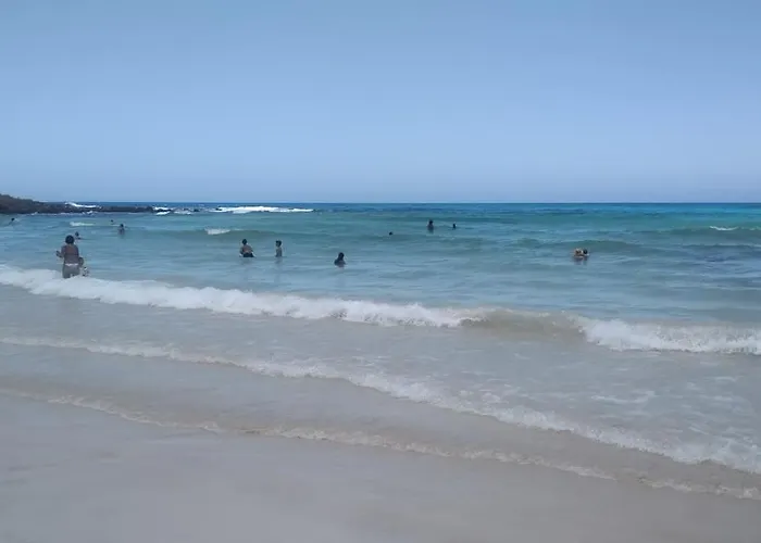 La Flor Del Atlantico