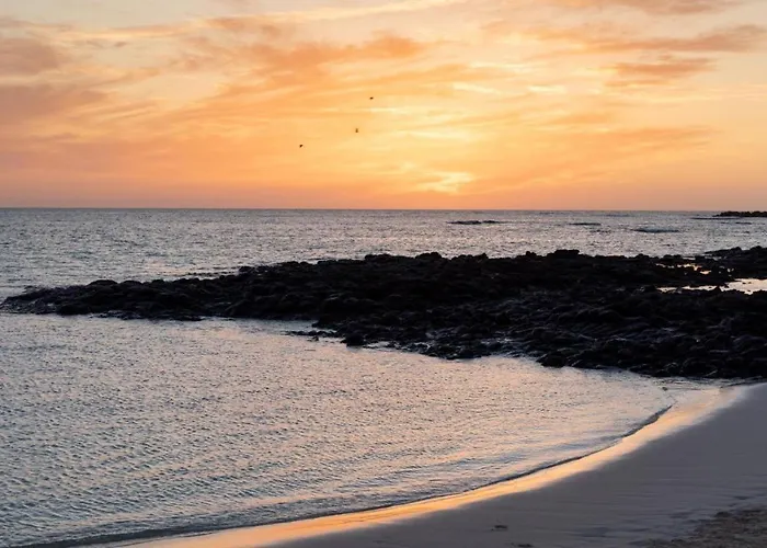 La Flor Del Atlantico * 코라레호