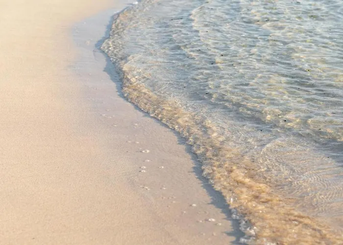 La Flor Del Atlantico * Corralejo