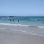 La Flor Del Atlantico