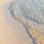 La Flor Del Atlantico * Corralejo