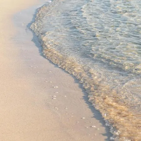La Flor Del Atlantico * Corralejo