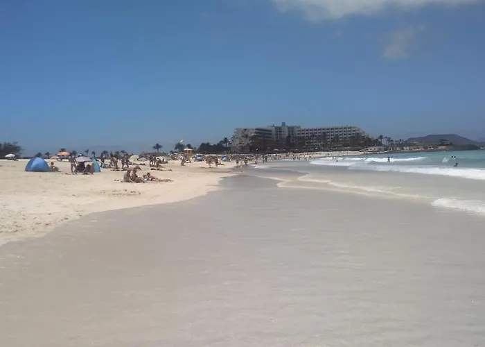 La Flor Del Atlantico Corralejo