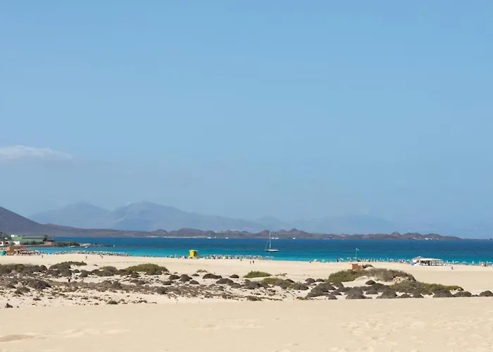 La Flor Del Atlantico *